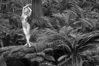 primal forest figure study photo by photographer lightworkx