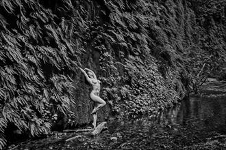 primeval canyon artistic nude photo by photographer philip turner