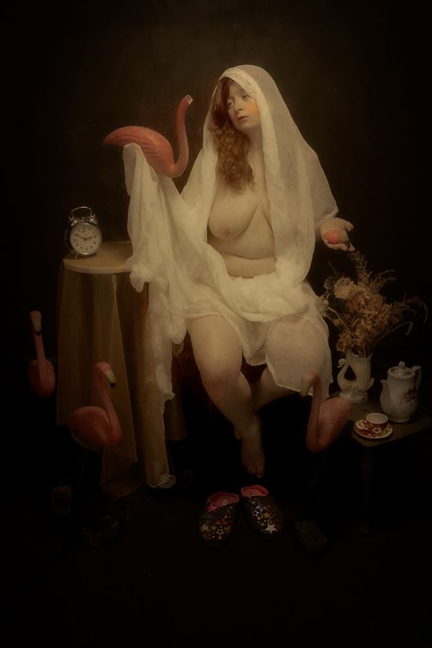 princess of flamingos artistic nude artwork by photographer dj foto artist