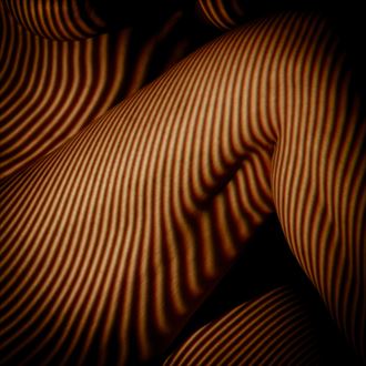 projection artistic nude photo by photographer gert jan kole