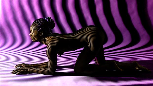 projections artistic nude photo by model sumayyah t bakare