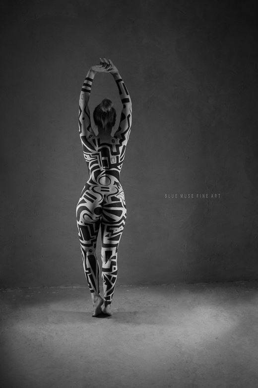 psychadelic zebra i artistic nude photo by photographer blue muse fine art