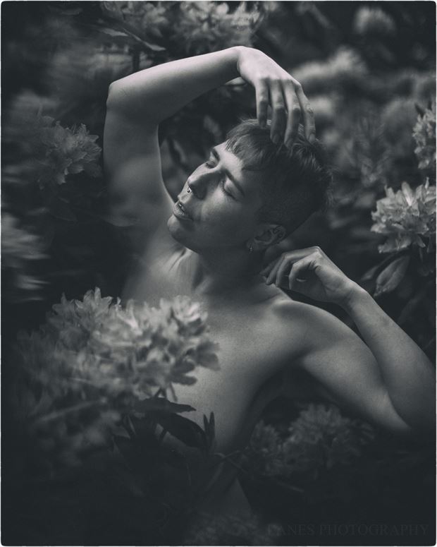 purple haze in mono artistic nude photo by photographer lanes photography