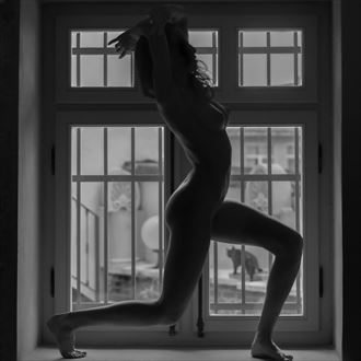 pussy cat artistic nude photo by photographer cem ozoral