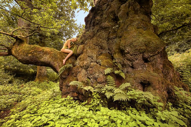 quarry oak fern fairy artistic nude photo by photographer treegirl