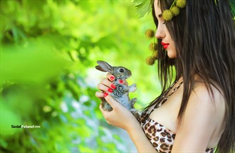 rabbitKiller Glamour Photo by Photographer Sedat Fetanet