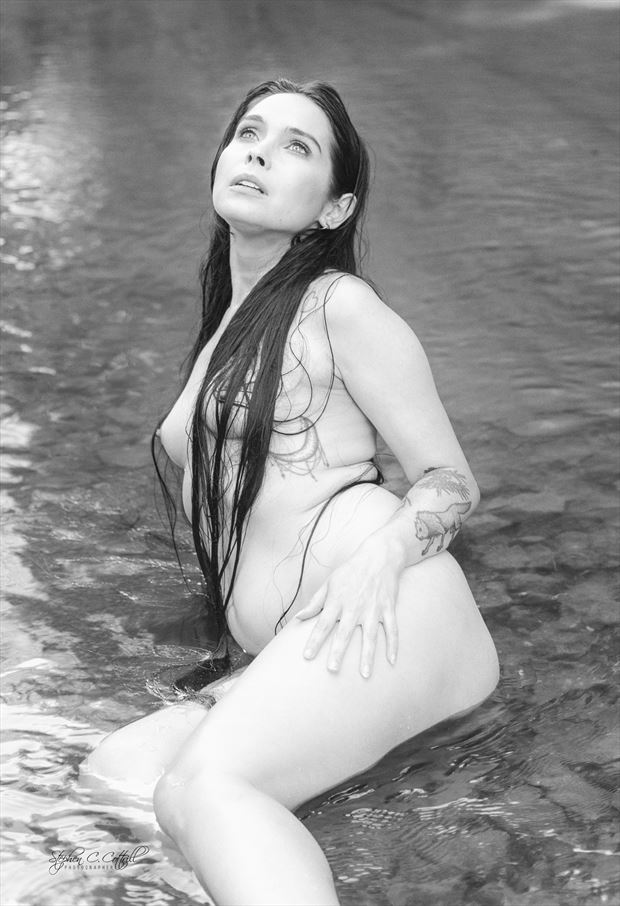 rachel dashae artistic nude photo by photographer steve cottrill