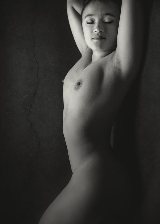 ravishing raven artistic nude artwork by photographer dieter kaupp