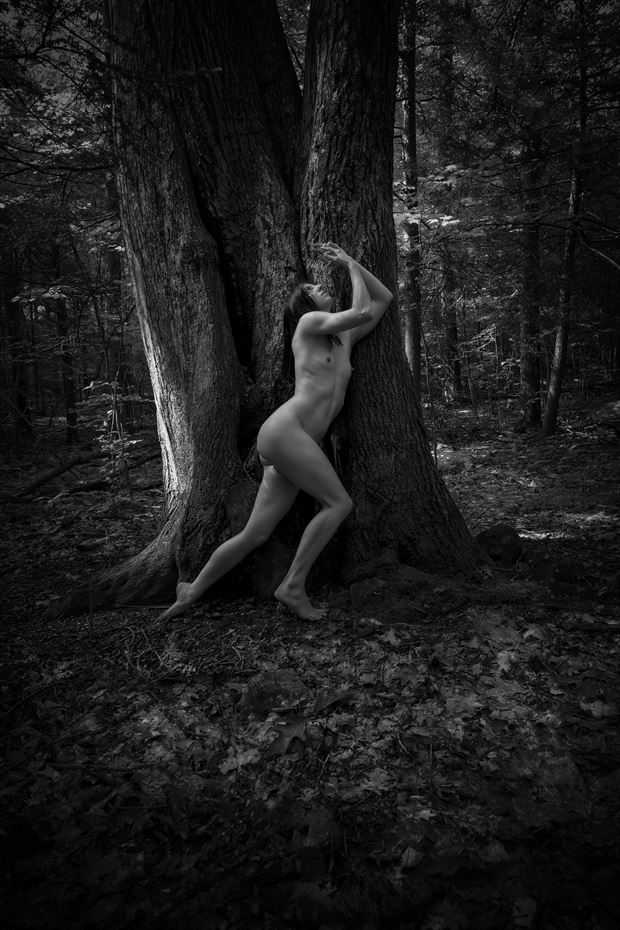 rayne tree 2 artistic nude photo by artist kevin stiles
