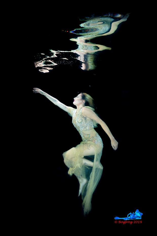 reach for the sky underwater tattoos photo by photographer bogfrog