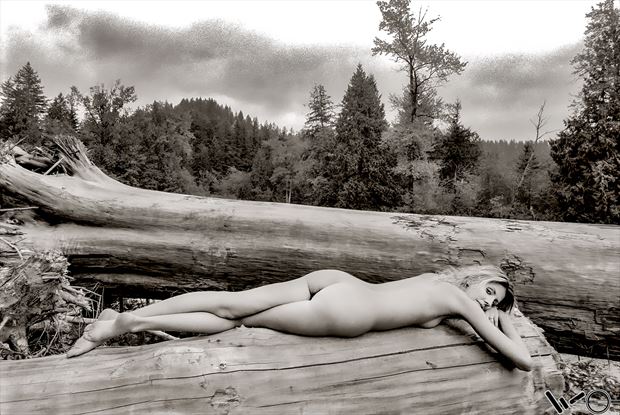 rebecca artistic nude photo by photographer woodeye