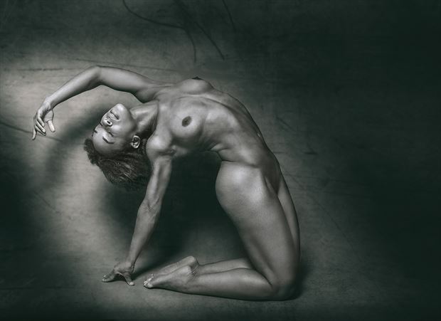 rebel fitz artistic nude artwork by photographer dieter kaupp