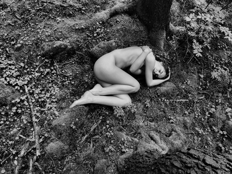 reborn in nature artistic nude artwork by artist kuti zolt%C3%A1n hermann