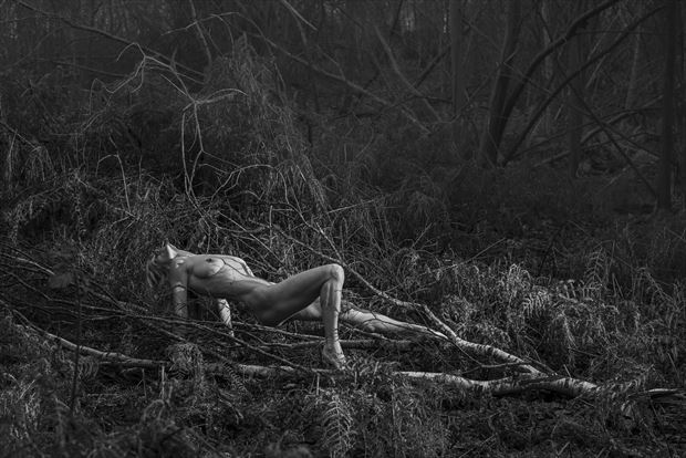 reclining in nature artistic nude photo by photographer kreative light