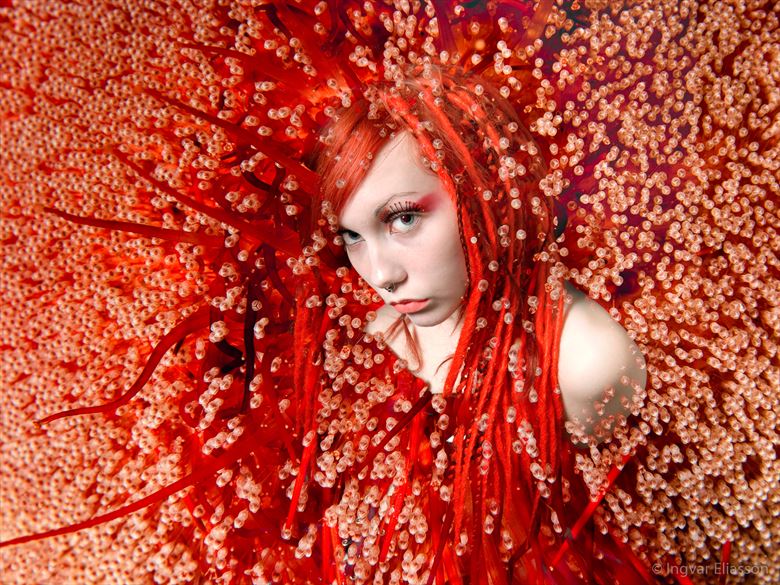 red hot mermaid surreal photo by photographer lazy diver
