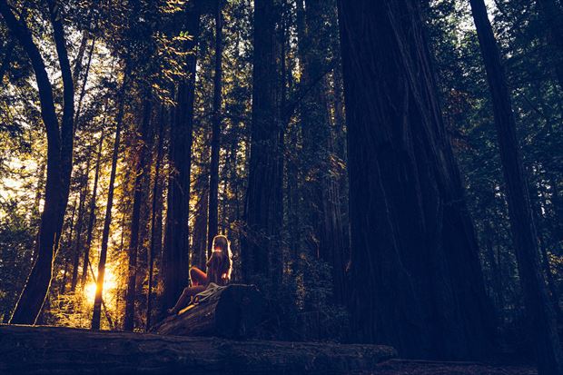 redwood national forest artistic nude photo by model andrea noeli