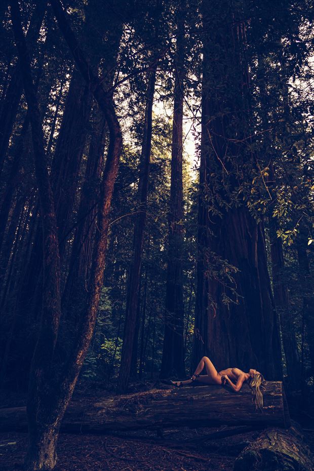 redwood national forest artistic nude photo by model andrea noeli