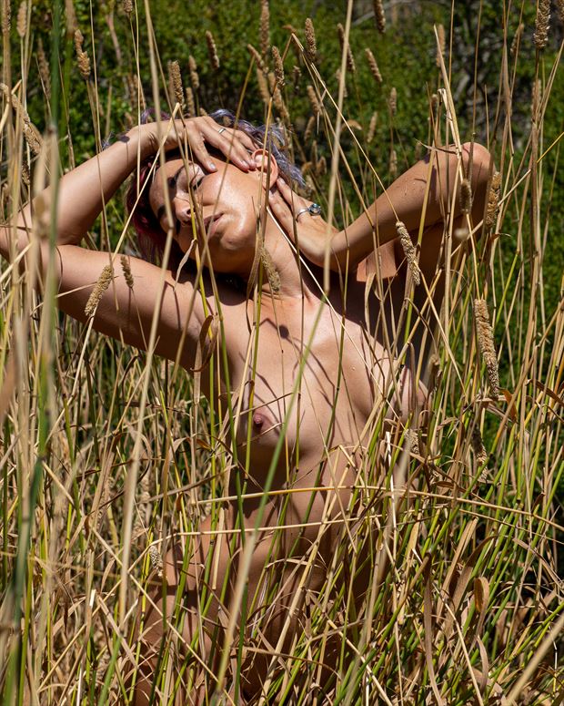 reeds and sunlight artistic nude photo by photographer artphotovision