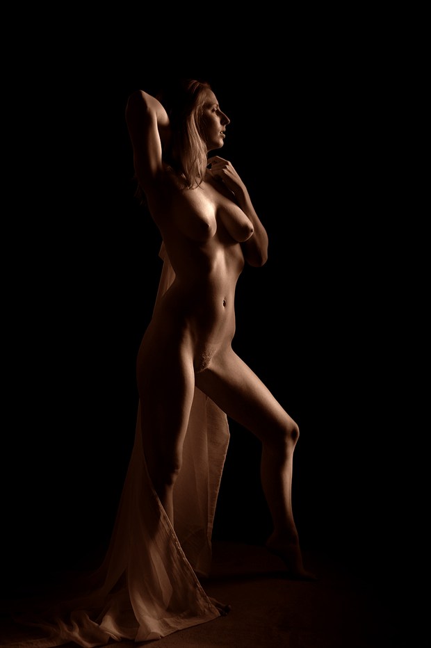 regal Artistic Nude Photo by Photographer AEPhotography