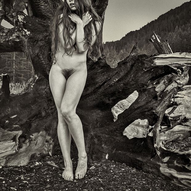 remnants artistic nude photo by photographer greg hensel