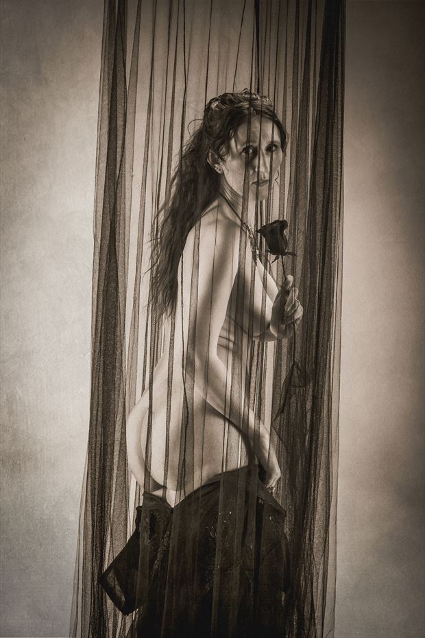 removing the mourning gown artistic nude artwork by model catori