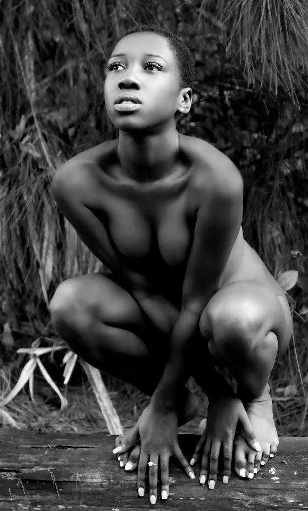 renee implied nude photo by photographer rick gordon