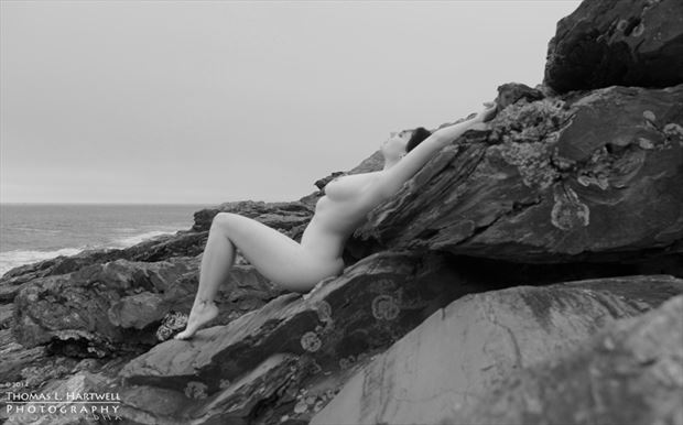 repose at two lights artistic nude photo by photographer mainemainphotography