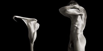 reveal artistic nude photo by photographer briankelly photo com