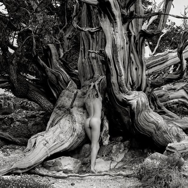 reverence artistic nude photo by photographer randall hobbet