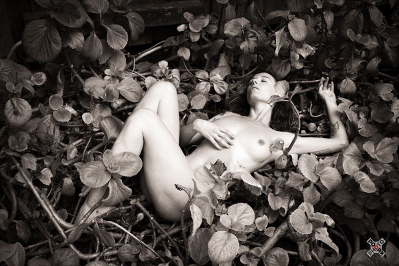 reverie artistic nude photo by photographer poorx photography
