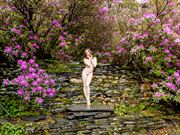 rhododendrons and wet slate artistic nude photo by photographer richard maxim