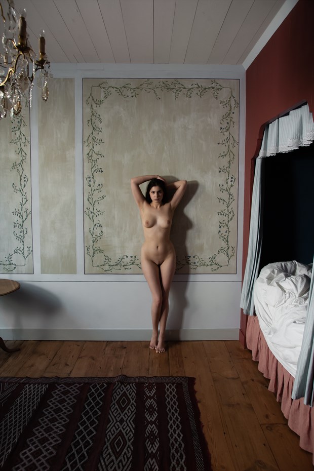 room of incarnation Artistic Nude Photo by Photographer Mused Renaissance