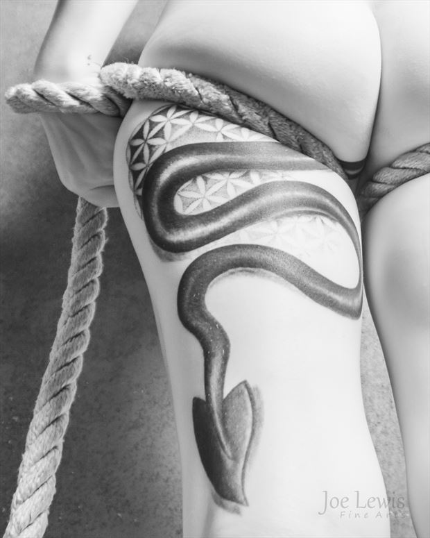 ropes and tails sushii tattoos photo by photographer joe lewis fine arts