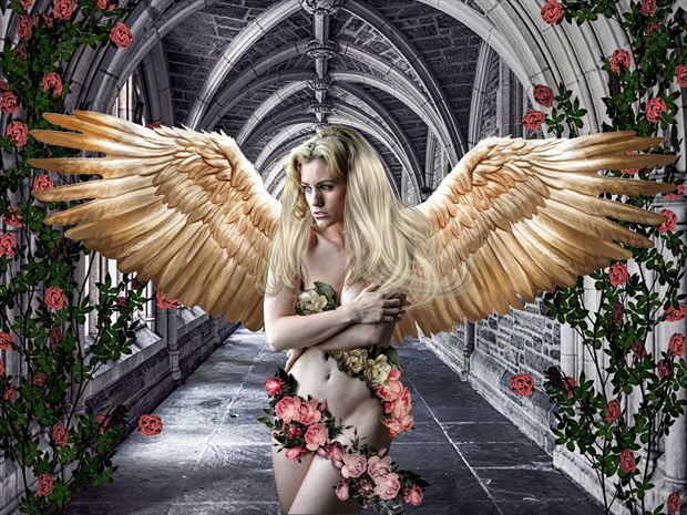 rose angel fantasy artwork by artist karinclaessonart