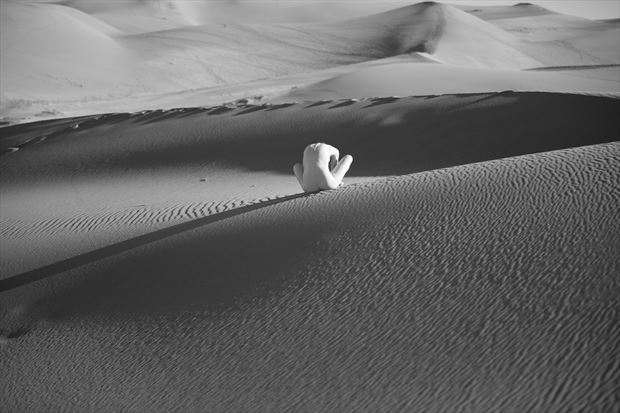 san dunes phantasies no 1 artistic nude artwork by photographer pitaru