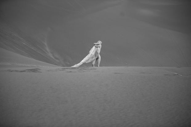 sand dunes fairytales no 2 artistic nude artwork by photographer pitaru