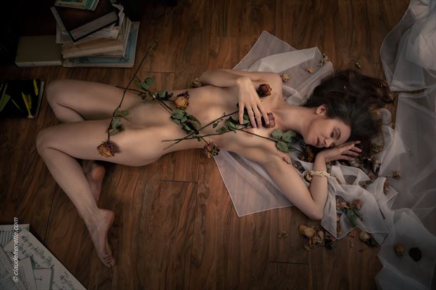 sans titre artistic nude photo by photographer claude frenette