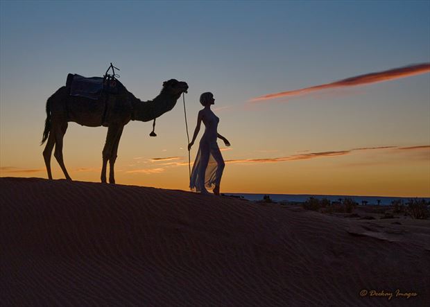 sara s sahara sunset stroll lingerie photo by photographer deekay images