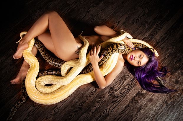 sara with snakes sensual photo by photographer dsa157
