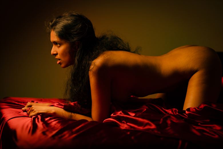 satin sheets and me artistic nude artwork by model naked indian goddess
