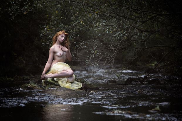scarlett fox in north yorkshire 3 artistic nude photo by photographer melpettit