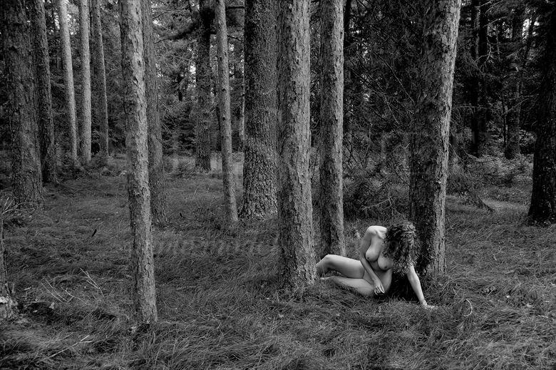 schoolcraft state park mn artistic nude photo by photographer ray valentine