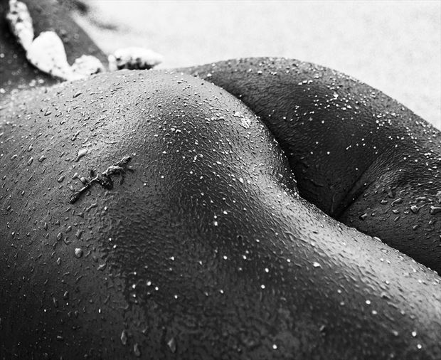 sea debris artistic nude photo by photographer luke adam