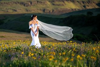 seamama in a field of wildflowers nature photo by photographer davis photo arts