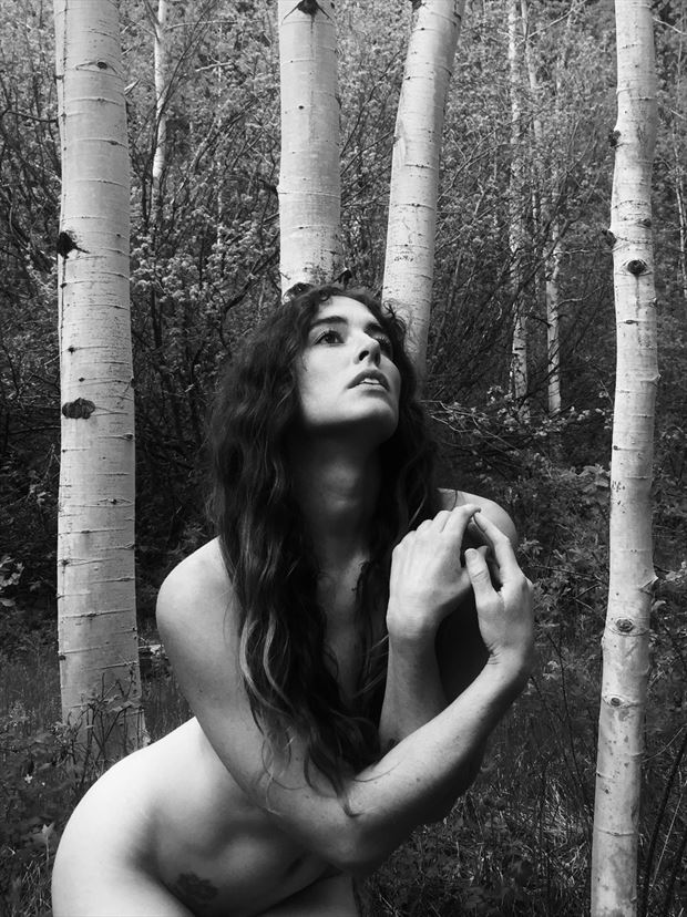 self portrait aspens artistic nude photo by model meghan claire