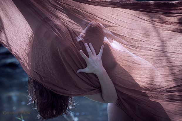 sensual implied nude photo by photographer crimson fang photo