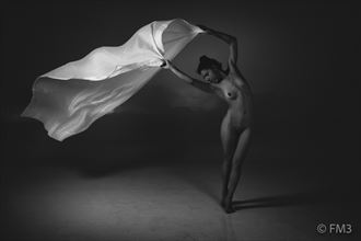 serotonin series with daiane barsa artistic nude photo by photographer fm3