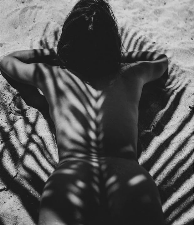 shaded under the palm trees silhouette photo by model eidan angelica