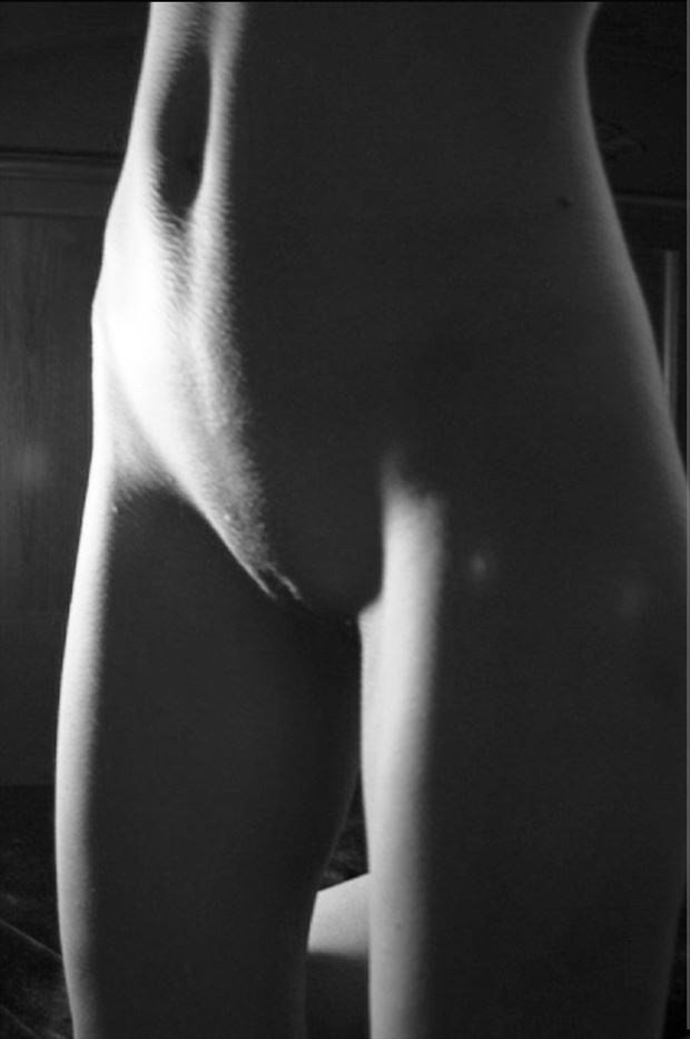 shadow and light 1 artistic nude photo by photographer pwphoto