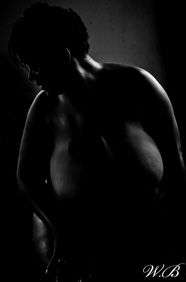 shadow of curves Artistic Nude Photo by Photographer PlenitudePhotography